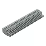 1-przewodowe gniazdo CAGE CLAMP®, szara 231-124/026-000