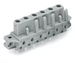 Gniazdo THT Pin lutowniczy 0,6 x 1,0 mm konstrukcja prosta, szare 232-741/031-000