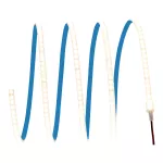 LED STRIP ECO 1000 -1000/830/5 IP65