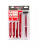 AWTOOLS BRZESZCZOT BiM DO PIŁY SZABLASTEJ kpl. 10szt. +ETUI