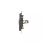 Simon 55 WMDE-014000-149 Gniazdo ekwipotencjalne podwójne (moduł); Czarny mat