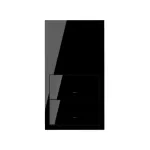 Simon 100 W100-10020213x-138 Panel 2-krotny: 2 klawisze; czarny
