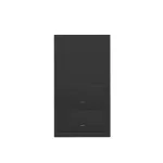 Simon 100 W100-10020213x-238 Panel 2-krotny: 2 klawisze; czarny mat