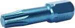 T25 T30 T40 zestawbitów TORSION TORX 3szt blister