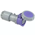Gniazdo przenośne TWIST 24V 16 A 24V/~50/60Hz 2P IP67