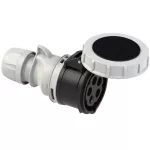 Gniazdo przenośne SHARK 32A 3P+Z+N 500V 50/60Hz 7H IP67