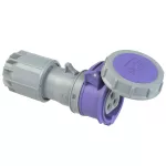 Gniazdo przenośne niskonapięciowe 16A 2P+Z 24V 50/60Hz IP67, styki niklowane