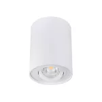 Oprawa sufitowa punktowa BORD DLP-50-W biały mat 1XGU10