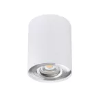 Oprawa sufitowa natynkowa BORD DLP-50-SR/W regulowana kolor biały / srebrny 1XGU10