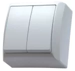 Łącznik dwugrupowy świecznikowy; BIS; BIAŁY; ŁN-2B/00