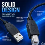 Qoltec Kabel USB 2.0 A męski | B męski | 5m