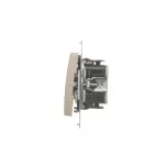 Simon 54 WMDL-07020x-044 Łącznik krzyżowy podwójny bez piktogramu (moduł) 10AX, 250V~, szybkozłącza; złoty mat