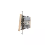 Simon 55 WMDL-0105xx-144 Łącznik jednobiegunowy z podświetleniem LED (moduł) 10 AX, 250 V~, szybkozłącza; Szampański mat