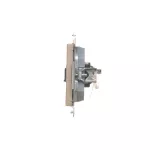 Simon 55 WMDA-P91xx5-144 Gniazdo komputerowe pojedyncze RJ45 kategoria 6, z przesłoną przeciwkurzową (moduł); Szampański mat