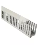 Korytko grzebieniowe T1-F 60x100 G (2m)