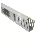 Korytko grzebieniowe T1-N 60x100 G (dł. 2m)