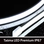 Taśma LED Premium 24V 320led/m COB 10W/m  6500K IP67 700lm/m 10mm CRI90 3Y 50m