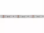 Taśma LED Standard 12V 60led/m SMD5050    12W/m RGB IP63 130lm/m 10mm CRI80 2Y
