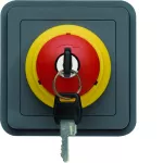 W.1 Moduł wyłącznika bezpieczeństwa na klucz, IP55, szary