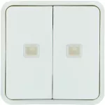 W.1 Klawisz 2 krotny z soczewkami do modułu KNX IP55, biały