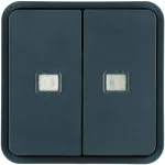 W.1 Klawisz 2 krotny z soczewkami do modułu KNX IP55, szary