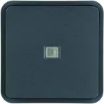 W.1 Klawisz 1 krotny z soczewką do modułu KNX IP55, szary