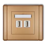 FLEXI Gniazdo podwójne 2xUSB A-A 2.0 złoty metalik