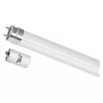 Żarówka LED liniowa T8 6,5 W 60 cm Zimna biel