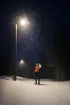 Oprawa uliczna STREETLIGHT FLEX SMALL 25W 730 RV25ST ALW