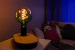 Lampa VINTAGE 1906 Globe ET 124 18 Filament DIM 4.5W 816 Green E27