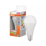 Lampa LED STAR CLASSIC A 19W 865 Frosted E27