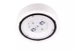 Oprawa awaryjna natynkowa STARLET PROOF SO/SC 350 NM 3H AT IP66 / 80584 230V