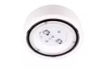 Oprawa sieciowo-awaryjna natynkowa STARLET PROOF SCH 350 M 3H AT IP66 / 80605 230V