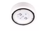 Oprawa awaryjna natynkowa STARLET PROOF SC 750 NM 2H CT IP66 / 80197 230V