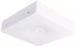 Oprawa awaryjna natynkowa Starlet Quad SO 350 NM 1H CT IP20 / 92843 230V