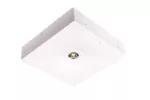 Oprawa sieciowo-awaryjna natynkowa STARLET QUAD SQ 250 M 1H MT IP20 / 86571 230V