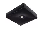 Oprawa sieciowo-awaryjna natynkowa STARLET QUAD SQ 150 M 3H MT IP20 [BLK] / 86565 230V