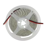 Taśma LED 600 9.6W/m 6500K 600lm/m 12V IP20 /5m/