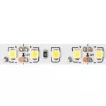 Taśma LED 600 9.6W/m 6500K 600lm/m 12V IP20 /5m/