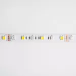 Taśma LED 300 14.4W/m RGB+CCT 12V IP63 /5m/