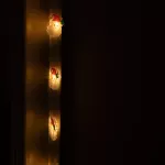 Magiczne lampki 50 led 3000K Mikołaj 5m DC5V APP
