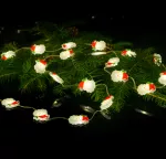 Magiczne lampki 50 led 3000K Mikołaj 5m DC5V APP