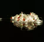 Magiczne lampki 50 led 3000K Mikołaj 5m DC5V APP