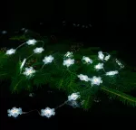 Magiczne lampki 50 led 6500K Śnieżynka 5m 5V APP