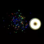 Magiczne lampki kempingowe solarne 100L RGBNW 10m APP