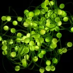 Magiczne lampki 100 led 1mln kolorów Perła 10m 5V APP