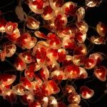 Magiczna kurtyna 100led 1*1m CCT Czapka Mikołaja APP