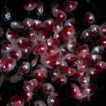 Magiczna kurtyna 100led 1*1m CCT Czapka Mikołaja APP