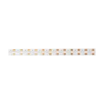 Taśma LED COB 810 15W/m RGB 12V IP20/5m/P