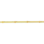 Taśma LED COB 320 7W/m 6000K 630lm/m 24V IP20/5m/P